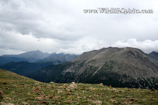 Click Picture to send as an  E-PostCard 65k 550x367